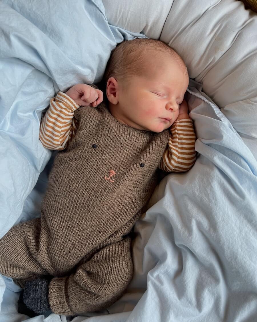 Teddy Pants PetiteKnit