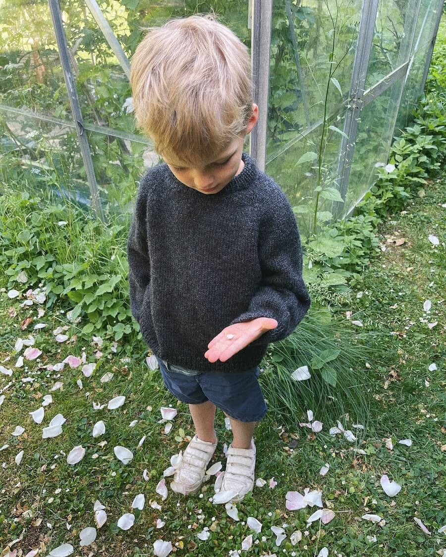 PetiteKnit Breipatroon Hanstholm Sweater Junior - Engelstalig