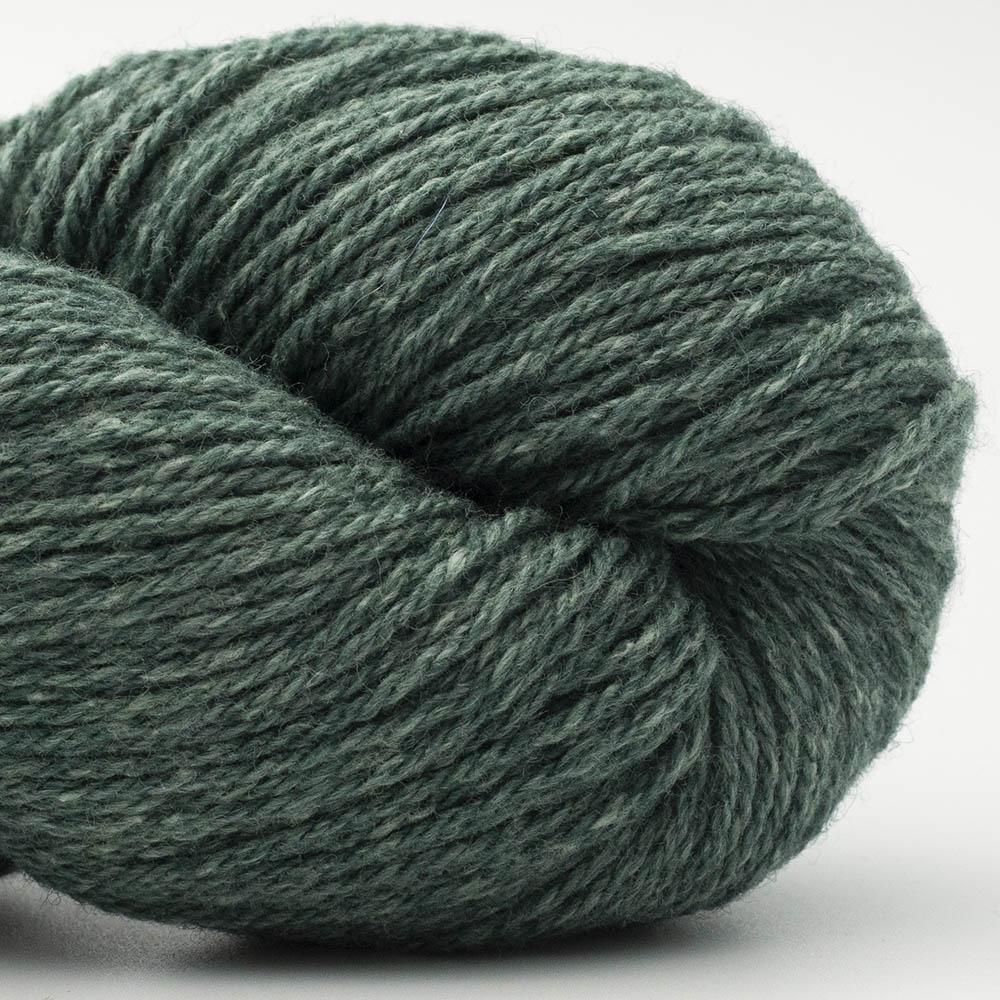 BC Garn Bio Balance GOTS Color 05 Pine Tree
